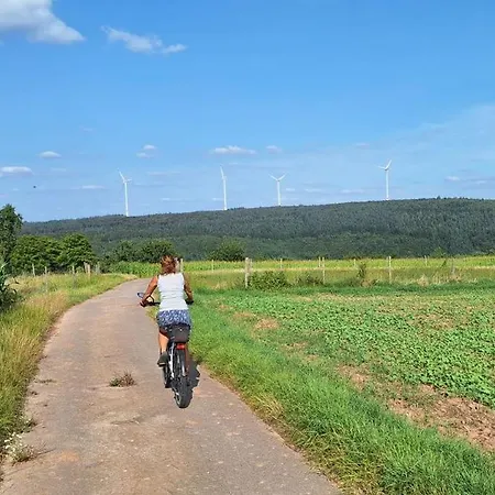 Zur Schoenen Aussicht Im Odenwald * Buchen (Odenwald, Baden-Wurttemberg)